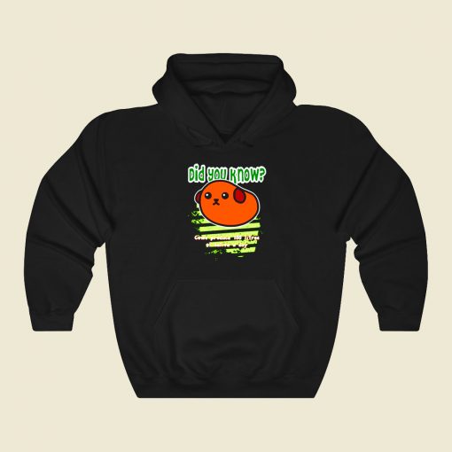 Did You Know 13 Funny Graphic Hoodie