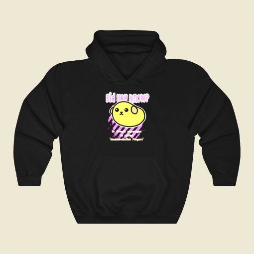 Did You Know 4 Funny Graphic Hoodie