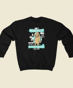 Funny Sloth Am I Perfect Sweatshirts Style