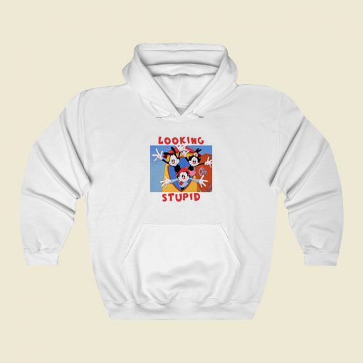 Looking Stupid Animaniacs Hoodie Style