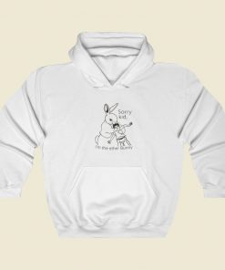 Sorry Kid Im The Ether Bunny Hoodie Style